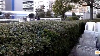 99在线精品女女视频
